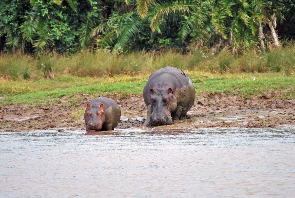 Tanzania Naked Wilderness Afrika