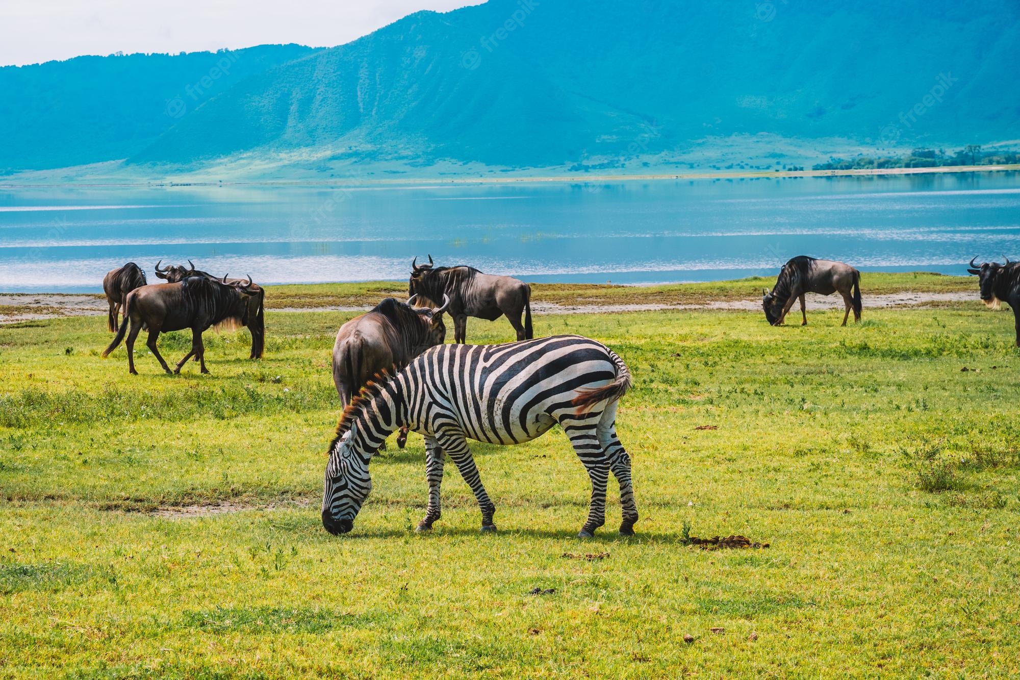 Tanzania Naked Wilderness Afrika