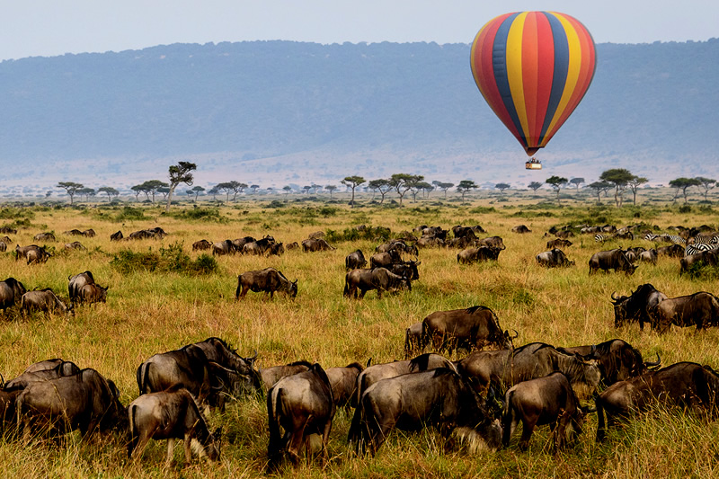 serengeti naked wilderness